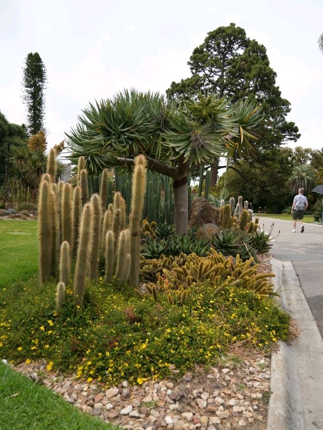 墨爾本皇家植物園 - 一個能讓一家大小放鬆學習的好地方🤩
