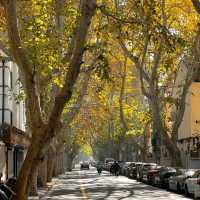 Wukang Road