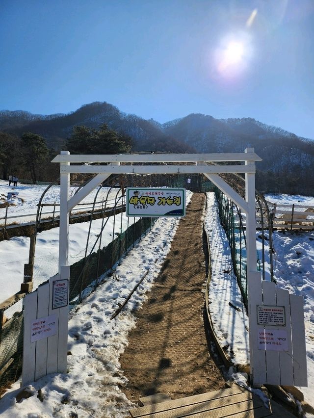 드넓은 야외에서 동물을 볼 수 있는 해피초원목장🤍