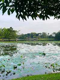 HIDDEN GEM IN CYBERJAYA.