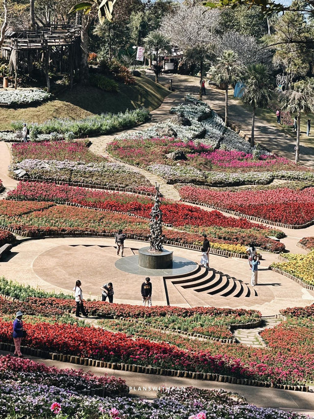 สีสันดอยตุง ครั้งที่ 11 (WinterWonderDoi) เชียงราย