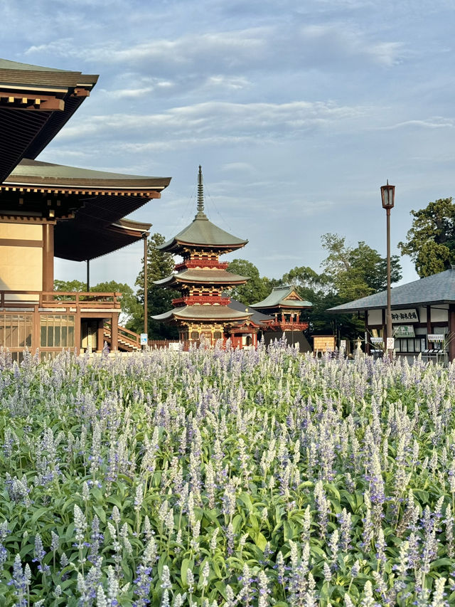 Naritasan Day Trip: Unveiling a Hidden Gem Near Tokyo