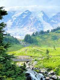Where Summer Meets Snow – My Journey to Mount Rainier in August