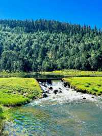Uncover the Beauty of Pudacuo National Forest Park