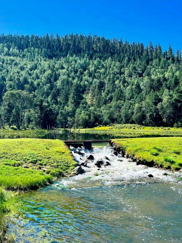 Uncover the Beauty of Pudacuo National Forest Park