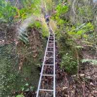 Conquering Gunung Ledang: A Mystical Malaysian Trek⛰️