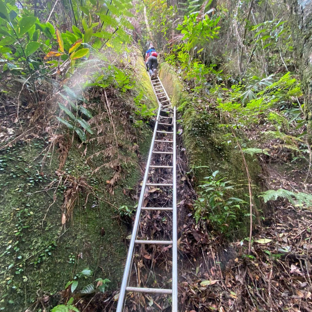 Conquering Gunung Ledang: A Mystical Malaysian Trek⛰️