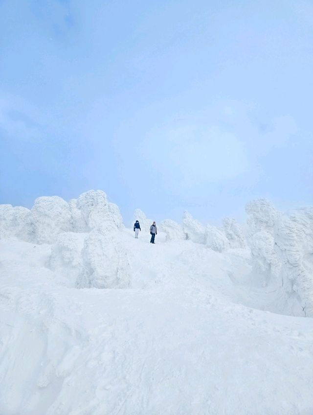 青森で樹氷を見よう