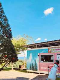 Escape to Switzerland in Gapyeong: Edelweiss Swiss Theme Park Review! 🇨🇭🏔️