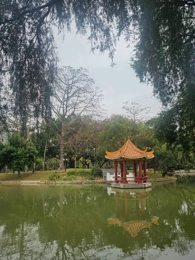 Luohu District Fun Guide: Great Places for Kids and Shopping