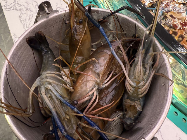 必須打卡：真心大癲！任撈任食海鮮放題打邊爐！