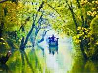 Escape to Nature: Xixi National Wetland Park