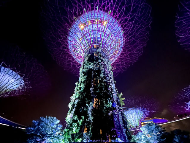 シンガポール旅行
