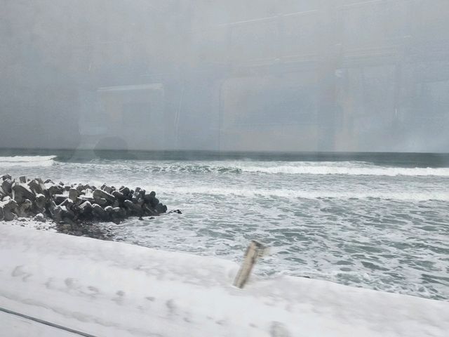 1~2월의 로망! 오타루 여행💓❄️🌨☃️