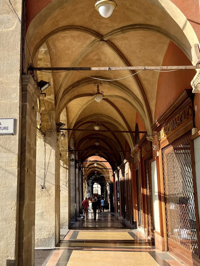 Bologna City Walk: A Stroll Through History and Culture