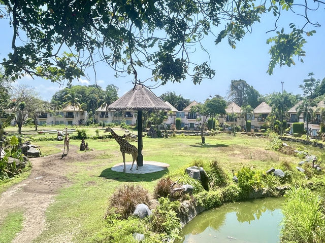 峇里親子必去動物園🦁