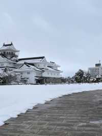 ปราสาทโทยามะ Toyama Castle Ruins