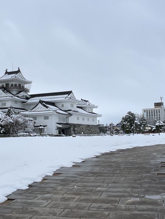 ปราสาทโทยามะ Toyama Castle Ruins