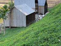 The Village Farm To Cafe'  จ.กาญจนบุรี
