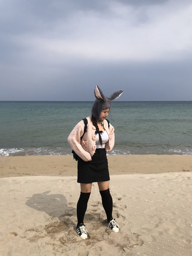 당일치기로 부담없는 강원도 여행 코스 