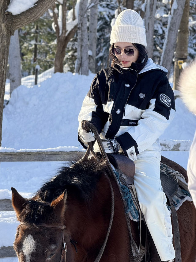 ❄️🐴 札幌雪景 × 夢幻騎馬體驗 🐴❄️