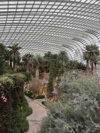 Floral Paradise - Flower Dome Singapore