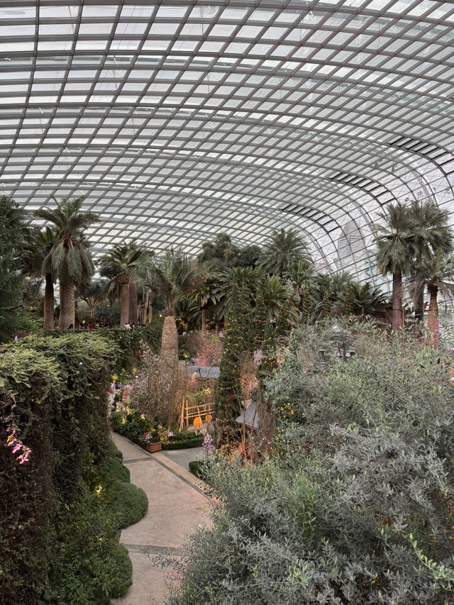 Floral Paradise - Flower Dome Singapore
