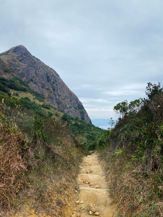 彎曲山⛰️，一覽西貢全景的麥理浩徑四段路線