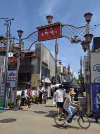 東京近郊：鎌倉、江之島一日遊