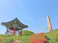 💛서울 근교 야외 나들이, 고양시 행주산성💛