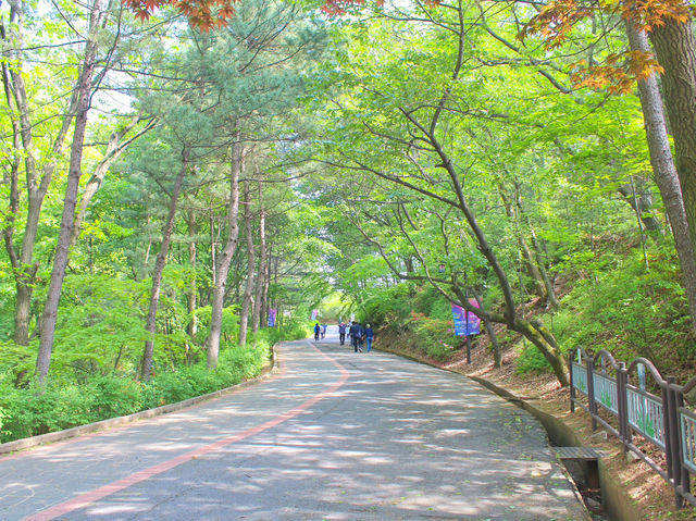 💛서울 근교 야외 데이트 장소 추천, 고양시 행주산성💛