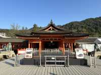 《嚴島神社：潮退時的鳥居奇觀》