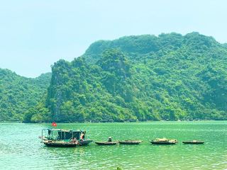 Cat Ba Island in Spring Is Breathtaking