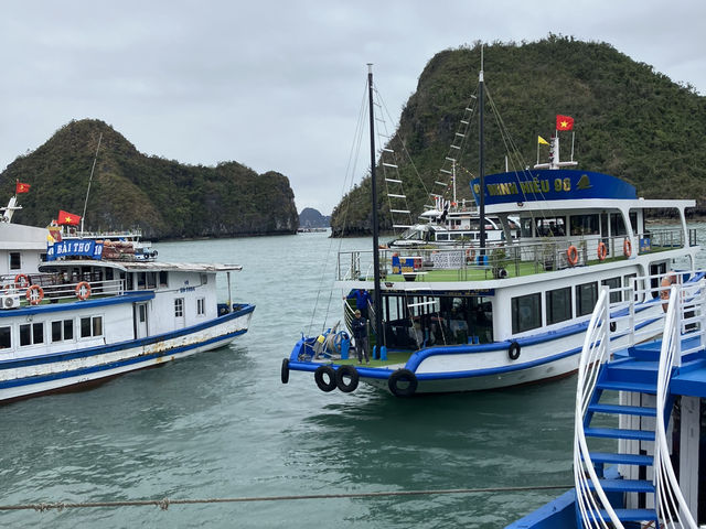 越南🇻🇳下龍灣遊船 奇岩怪石堪稱海上動物園
