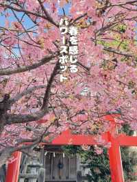 【熱海】超穴場スポット!!源泉を護る神社・走湯神社