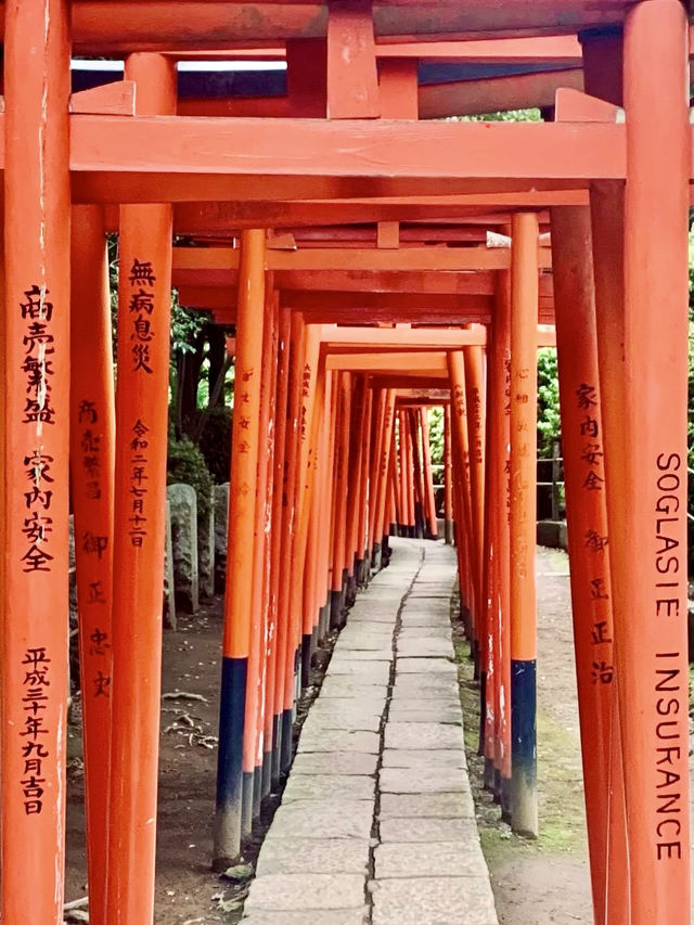 紅色鳥居間的幽靜時光