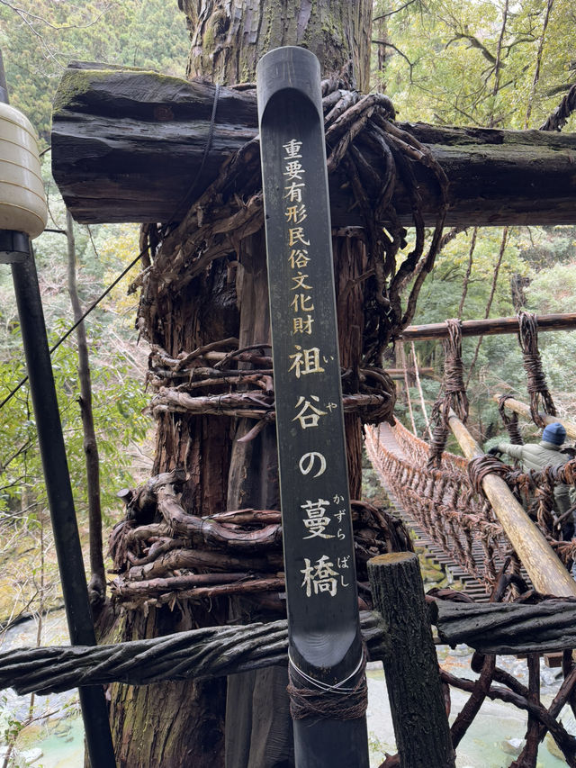 ♨️徳島の秘境宿　ケーブルカーで行く源泉掛け流し露天風呂【ホテル祖谷温泉】