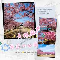 ～奧武山公園～櫻之美～
