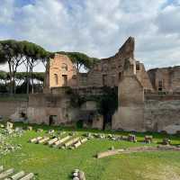 Top historical visits