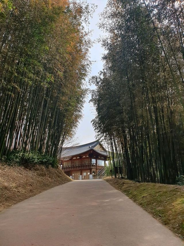 먹방여행을 빙자한 담양여행