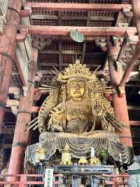 【奈良×春旅】 世界最大級の木造建造物