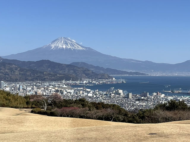 Mark實日本平 三保松原富士山 構圖 