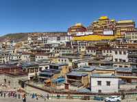 Lost in the Beauty of Yunnan: From Ancient Towns to Snowy Peaks! ❄🏯🌿