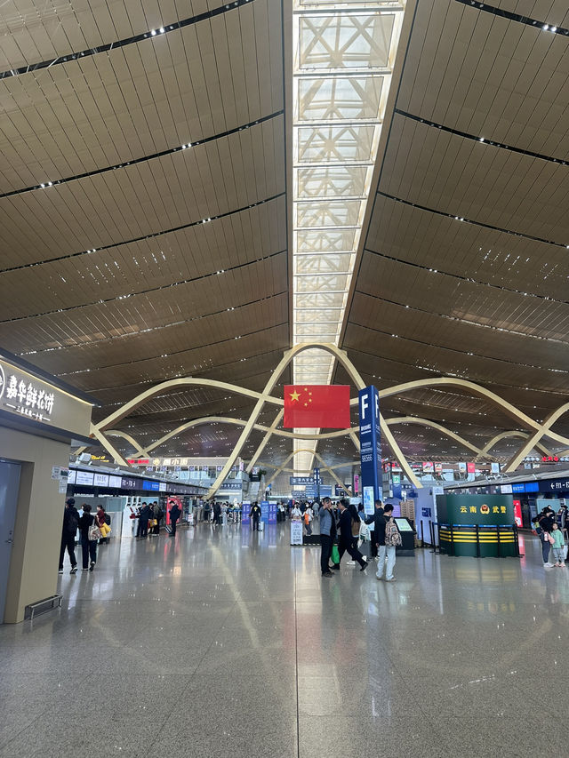 【中国🇨🇳昆明】お花いっぱいの空港✈️