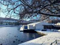 明信片般的北歐港灣風情：挪威-卑爾根 Bergen