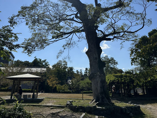 神聖與美麗的交融：探訪京都八坂神社的文化之旅