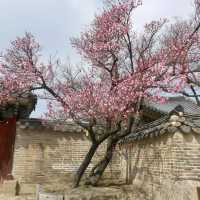 UNSECO TREASURE IN SEOUL | CHANGDEOKGUNG PALACE