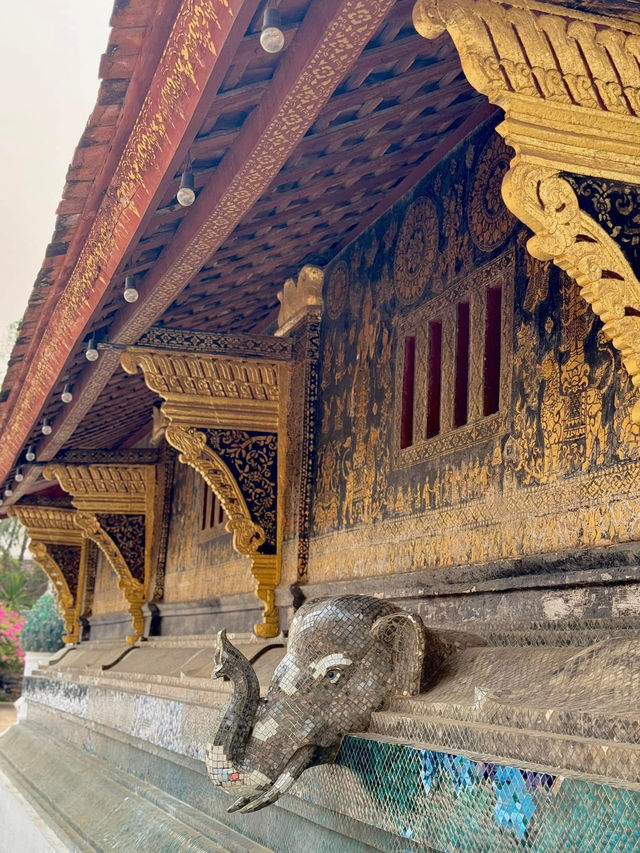 วัดเชียงทอง หลวงพระบาง ลาว 🤍🧡