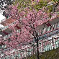 內湖碧山巖