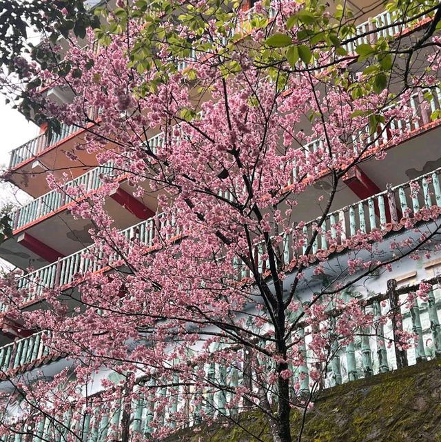 內湖碧山巖